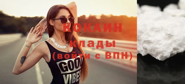 прущая мука Вяземский