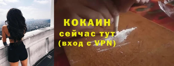 прущая мука Вяземский