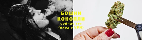 прущая мука Вяземский