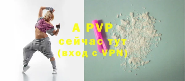 прущая мука Вяземский